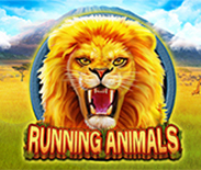 Running Animals